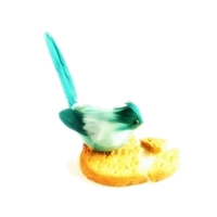 ���[�����M���